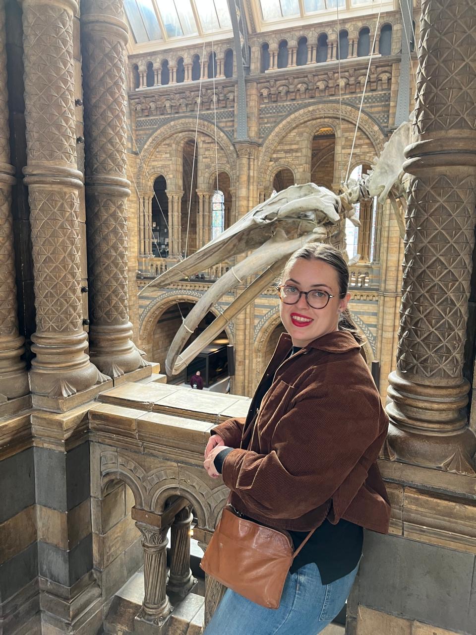 Blue Whale skeleton at Natural History Museum